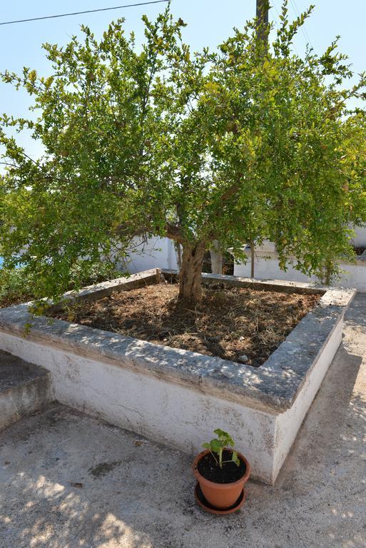 Masseria Gravinella Fasano Exteriér fotografie